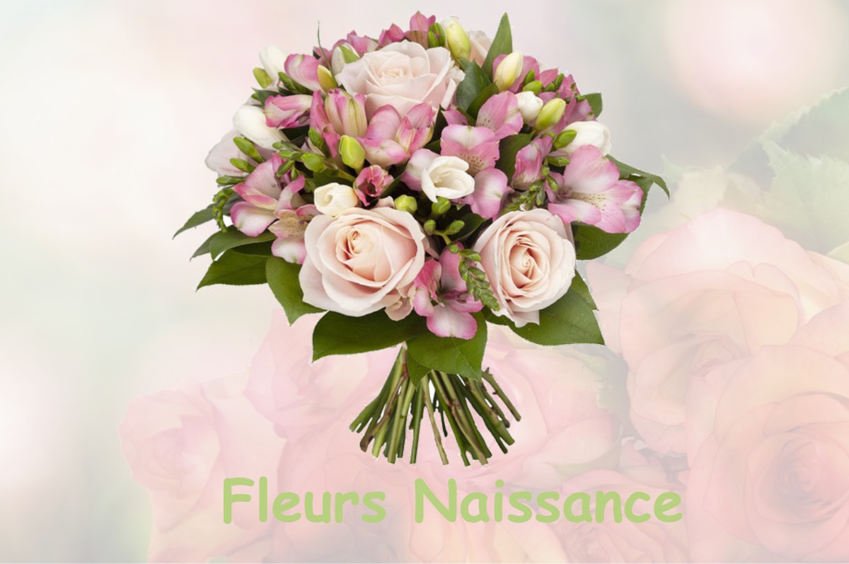 fleurs naissance LABASTIDE-CLERMONT