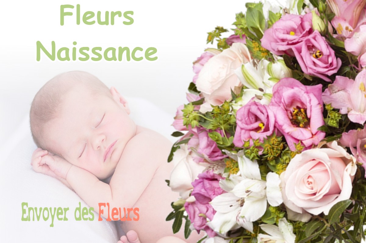 lIVRAISON FLEURS NAISSANCE à LABASTIDE-CLERMONT